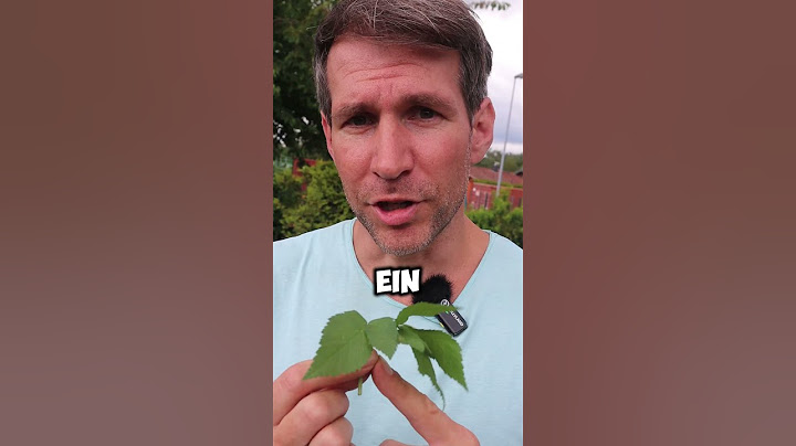 So kannst du Giersch dauerhaft entfernen!  #garten #gartentipps #gartenarbeit #unkraut