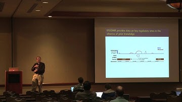 Large-scale Computational Mapping of Protein-DNA Binding Affinity Landscapes -- Peter Freddolino