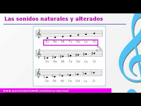 Extraer Generacion Testificar Curso de música - Las notas y sonidos musicales - YouTube