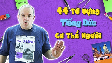 44 Từ Vựng Tiếng Đức Cơ Thể Người - Học Tiếng Đức Ngành Điều Dưỡng