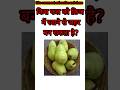 किस फल को फ्रिज में रखने से जहर बन सकता है?