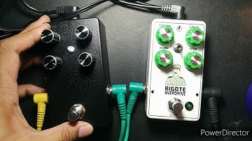 Liwayway Analog Delay + Bigote Overdrive Demo