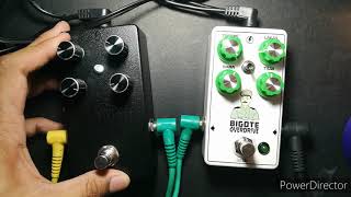 Liwayway Analog Delay + Bigote Overdrive Demo