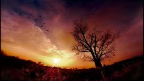 سورة فاطر_الشيخ محمد الغرباني.flv