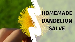 Homemade Dandelion Salve