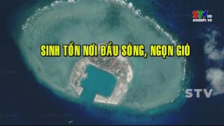 Đảo Sinh Tồn, quần đảo Trường Sa | Nơi đầu sóng, ngọn gió