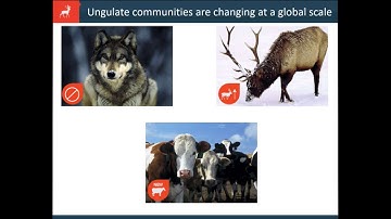 Indirect Effects of Climate on Regeneration of Aspen Forests