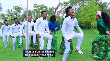 Hacaaluu Araarsaa: Jarumaafi  ** Oromo Music 2018 New