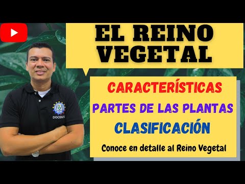 EL REINO VEGETAL O PLANTAE. BRIOFITAS Y TRAQUEOFITAS, GIMNOS PERMAS Y ANGIOSPERMAS. MONOCOTI...