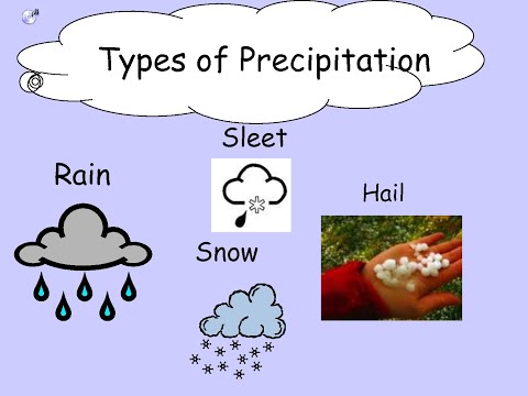 Video: Care dintre următoarele sunt trei tipuri de precipitații?