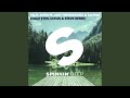 Eagle Eyes (feat. Lost Frequencies & Linying) (Lucas & Steve Remix)