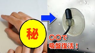 吸盤を復活させるにはお湯が有効！？たった数分で解決する裏ワザ！【豆知識】