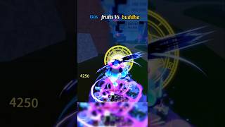 Gas Fruits Vs Buddha