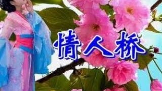 一首韩宝仪《情人桥》Dj舞曲，旋律优美，超级好听！收藏！