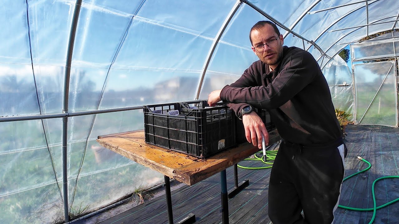 He reciclado esto de la basura para mejorar mis semilleros. Sembrando lechugas y calabazas.