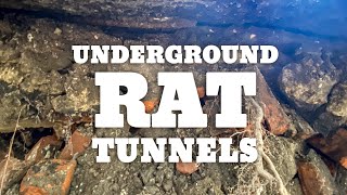 Underground Rat Tunnels