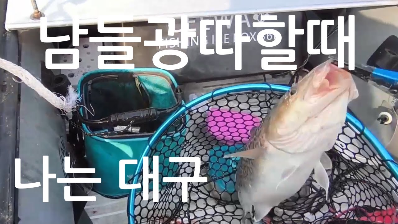 대구낚시 타이라바 대구라바