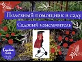 Полезный помощник в саду!  Садовый измельчитель.