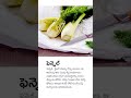 interesting facts #short#video