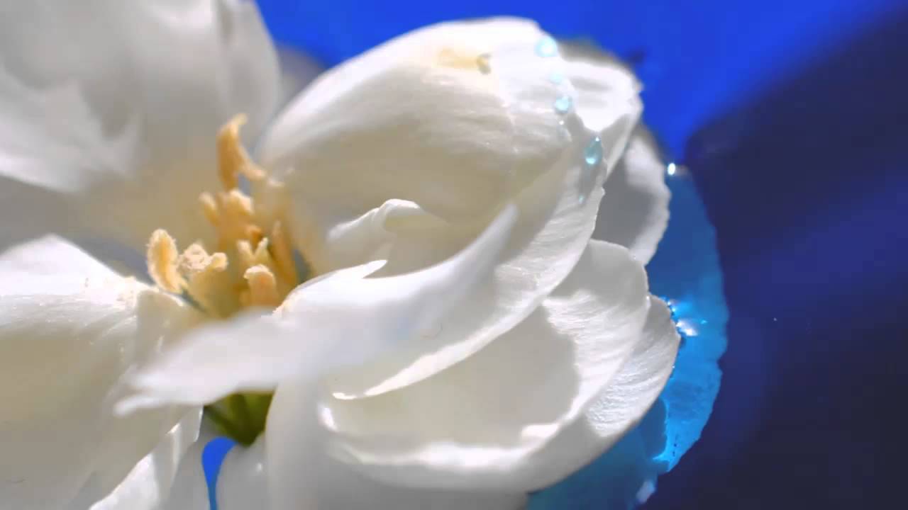 Deep Colour Relaxation