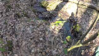 Waterfall Climbing at Black Hand Gorge in Central Ohio Shot with the Go Pro 2