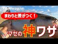ノマセ釣りのコツを伝授します【泉佐野一文字・岸和田一文字】Blue-backed fish