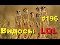 ЛУЧШИЕ ПРИКОЛЫ 2020 Сентябрь #196 Ржач до слез, угар, приколы и Добро для Души!