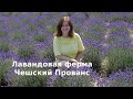 Лавандовая ферма - Чешский Прованс