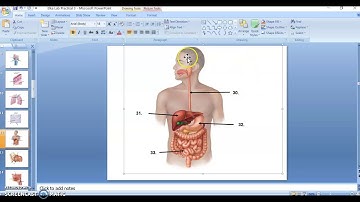 Blackboard Assessments - Building and Deploying Quizzes/Exams