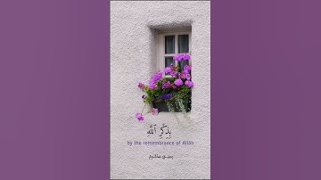 سورة الرعد الآية 28