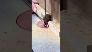 I'd never think I'd be in bed with him spooning me #reddit #woodworking #shorts