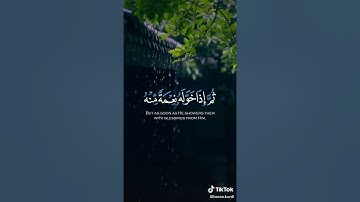 وإذا مس الإنسان ضر دعا ربه منيبا إليه - تلاوة جميلة للشيخ ناصر القطامي