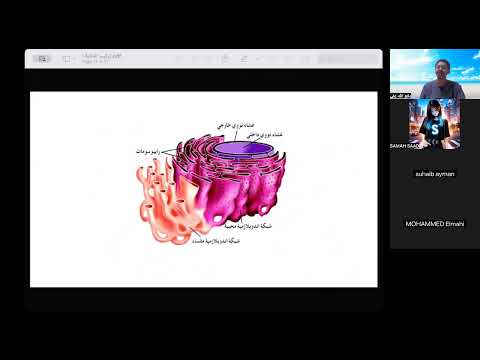 تركيب الخلية ج2 الصف الأول الثانوي المنهج السوداني