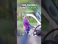 So rettet der Hund seinem Freund das Leben 😲