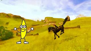 Star Stable Randomness 2