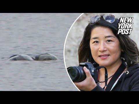 New ‘sighting’ of Loch Ness monster captured in ‘most exciting’ photos ever