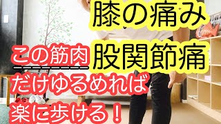 広島 安佐南区【膝の痛み・股関節痛】この筋肉だけ緩めれば楽に歩ける！　#広島整体　#変形性膝関節症　#変形性股関節症　#膝の痛み　#股関節の痛み