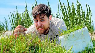 Deniz Börlürcesi Satarak 1500 Lira Kazandım Kimsenin Bilmediği Para Kazanma Yöntemi