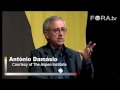 When Emotions Make Better Decisions - Antonio Damasio