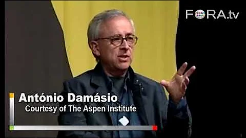 When Emotions Make Better Decisions - Antonio Damasio