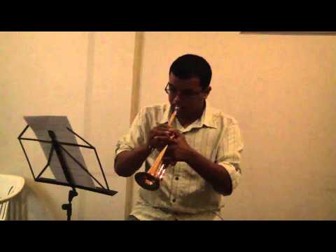 Sonata a5 - Torelli - Andr de Souza - trompete pic...