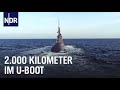 Unterwegs im U-Boot: Auf Transitfahrt mit U 31 | die nordstory | NDR Doku