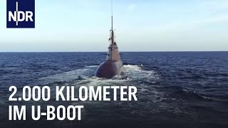 Unterwegs im U-Boot: Auf Transitfahrt mit U 31 | die nordstory | NDR Doku