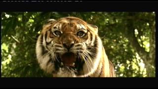 Opening To Two Brothers Uk Dvd 2004