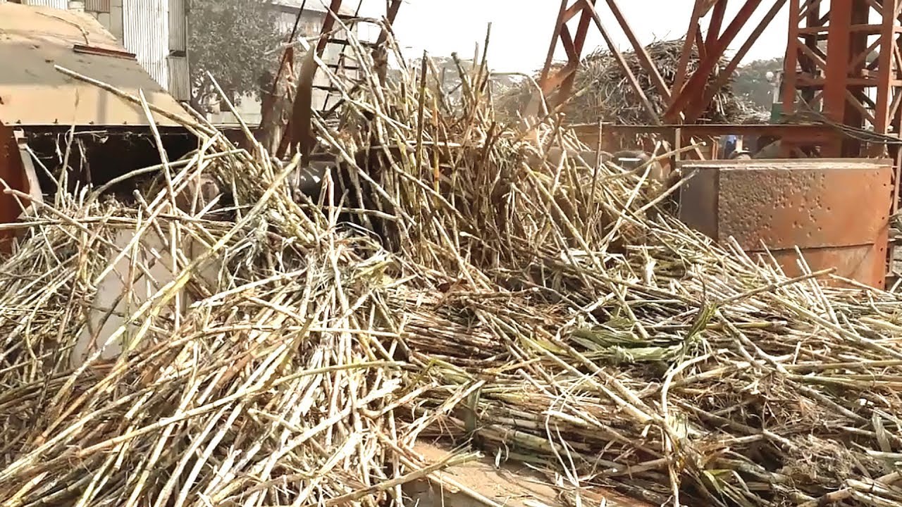 Sugar making in sugar mill || How It's Made Sugar