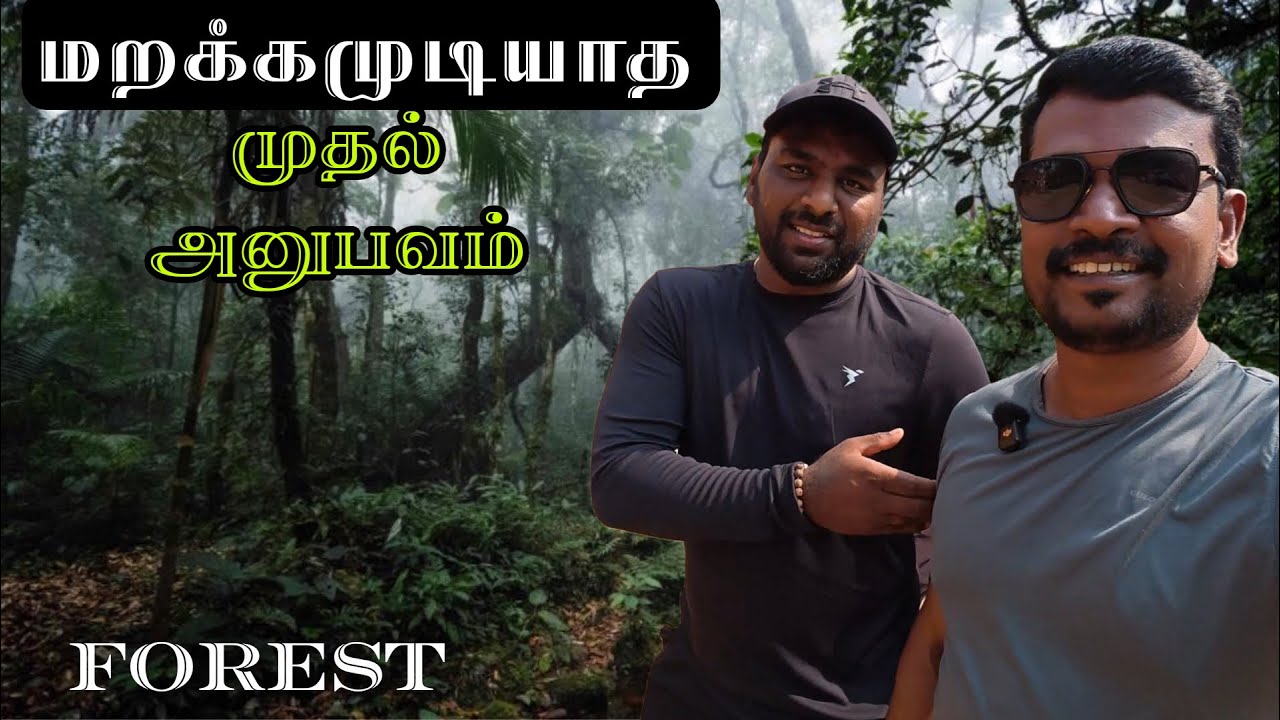 Unexpected Experience 😎#jungle #forest 