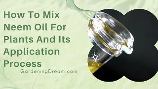 How To Mix Neem Oil For Plants And Its Application Process