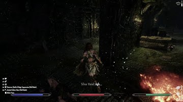 Skyrim Combat Mod: Engarde against Silverhands