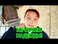 УСАДИЛИ ИНДЮШКУ НА ГНЕЗДО//ПОРОСЯТА РАСТУТ!