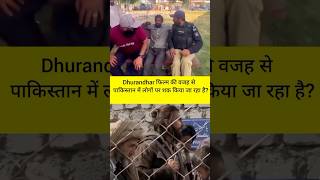 Did Dhurandhar Trigger Spy Panic in Pakistan? Truth Revealed!😱 #facts #shorts